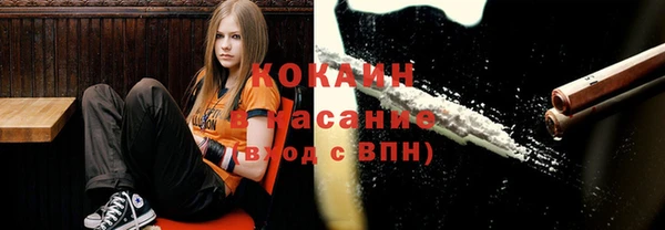 ПСИЛОЦИБИНОВЫЕ ГРИБЫ Горно-Алтайск