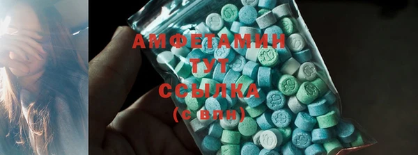 ПСИЛОЦИБИНОВЫЕ ГРИБЫ Горно-Алтайск