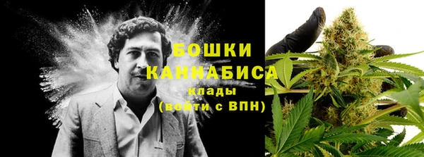 стафф Горняк