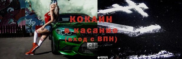 ПСИЛОЦИБИНОВЫЕ ГРИБЫ Горно-Алтайск